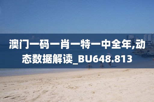澳門一碼一肖一特一中全年,動(dòng)態(tài)數(shù)據(jù)解讀_BU648.813
