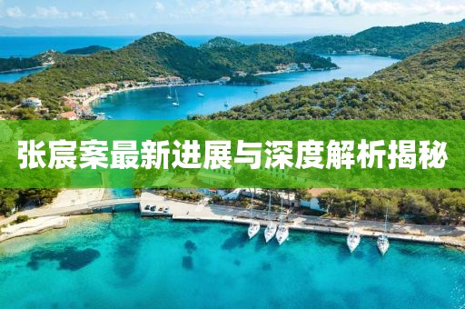 張宸案最新進(jìn)展與深度解析揭秘