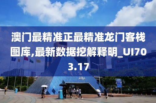 澳門最精準正最精準龍門客棧圖庫,最新數(shù)據挖解釋明_UI703.17