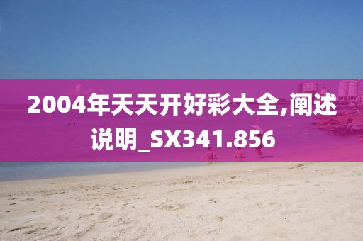 2004年天天開好彩大全,闡述說明_SX341.856