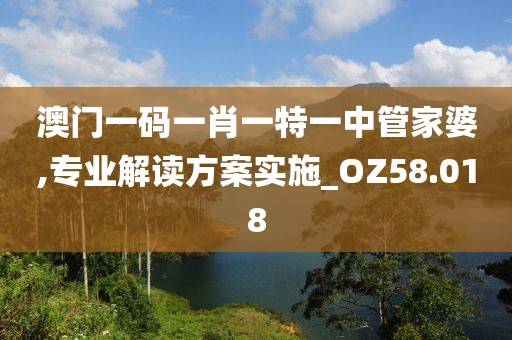 澳門一碼一肖一特一中管家婆,專業(yè)解讀方案實(shí)施_OZ58.018