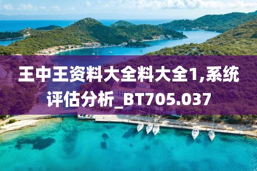 王中王資料大全料大全1,系統(tǒng)評估分析_BT705.037