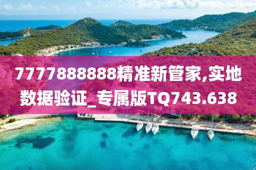 7777888888精準(zhǔn)新管家,實(shí)地數(shù)據(jù)驗(yàn)證_專屬版TQ743.638