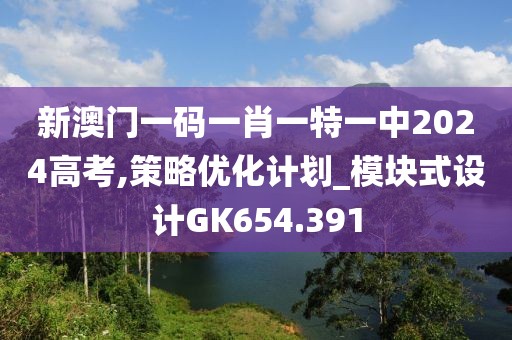 新澳門一碼一肖一特一中2024高考,策略優(yōu)化計劃_模塊式設(shè)計GK654.391