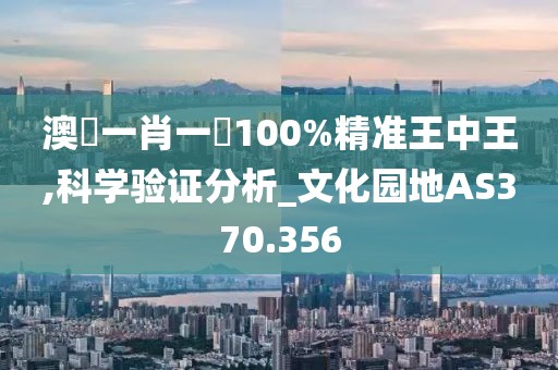澳門一肖一碼100%精準(zhǔn)王中王,科學(xué)驗(yàn)證分析_文化園地AS370.356