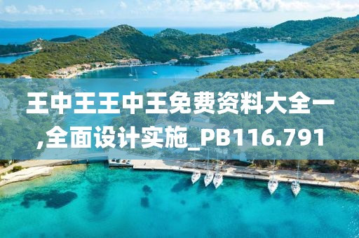 王中王王中王免費(fèi)資料大全一,全面設(shè)計實施_PB116.791