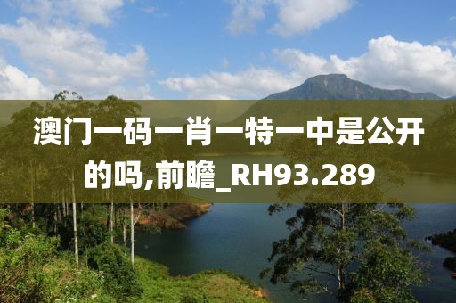 澳門一碼一肖一特一中是公開的嗎,前瞻_RH93.289