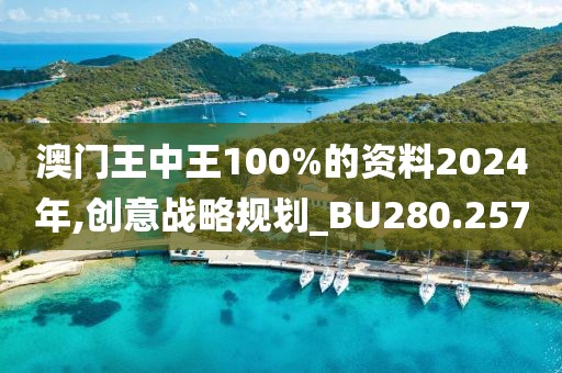 澳門王中王100%的資料2024年,創(chuàng)意戰(zhàn)略規(guī)劃_BU280.257