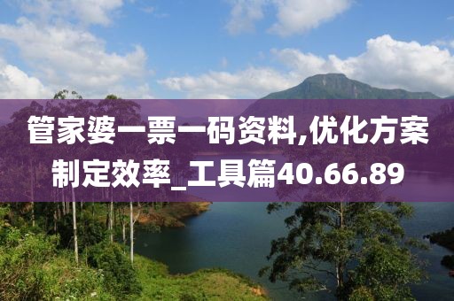 管家婆一票一碼資料,優(yōu)化方案制定效率_工具篇40.66.89
