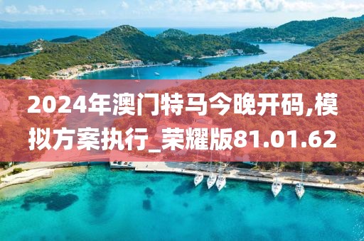 2024年澳門(mén)特馬今晚開(kāi)碼,模擬方案執(zhí)行_榮耀版81.01.62