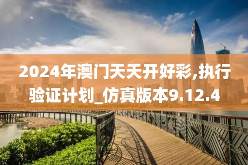 2024年澳門天天開好彩,執(zhí)行驗證計劃_仿真版本9.12.4