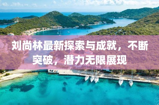 劉尚林最新探索與成就，不斷突破，潛力無(wú)限展現(xiàn)