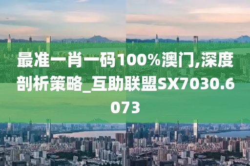 最準(zhǔn)一肖一碼100%澳門,深度剖析策略_互助聯(lián)盟SX7030.6073