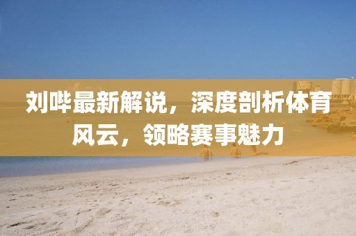 劉嗶最新解說，深度剖析體育風(fēng)云，領(lǐng)略賽事魅力