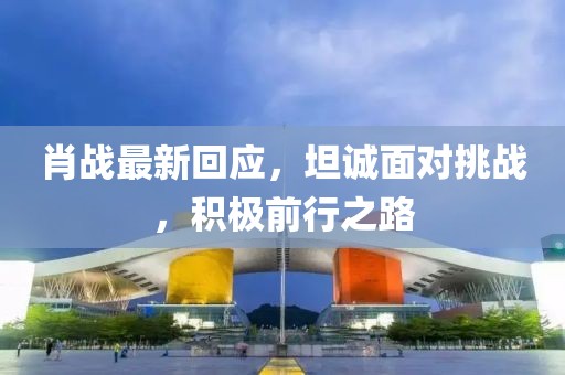 肖戰(zhàn)最新回應(yīng)，坦誠面對挑戰(zhàn)，積極前行之路