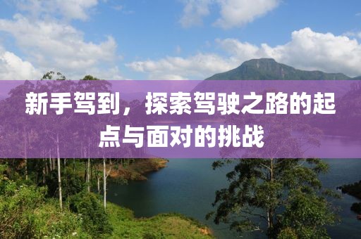 新手駕到，探索駕駛之路的起點(diǎn)與面對(duì)的挑戰(zhàn)