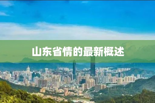 山東省情的最新概述