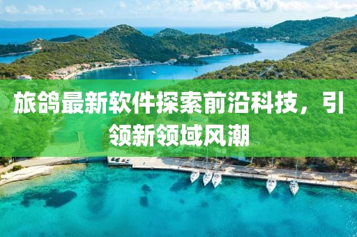 旅鴿最新軟件探索前沿科技，引領(lǐng)新領(lǐng)域風(fēng)潮