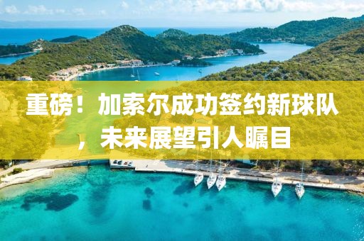 初告白 第29頁