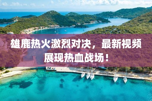 雄鹿熱火激烈對(duì)決，最新視頻展現(xiàn)熱血戰(zhàn)場(chǎng)！