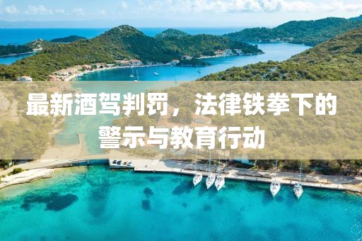 最新酒駕判罰，法律鐵拳下的警示與教育行動(dòng)