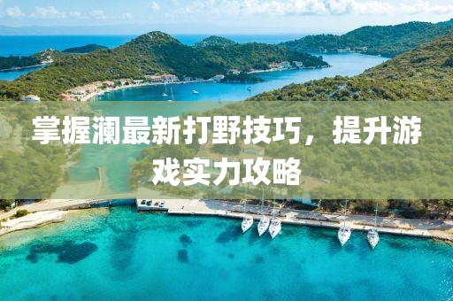 掌握瀾最新打野技巧，提升游戲實力攻略