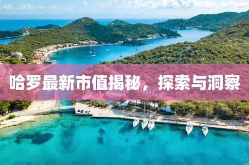 哈羅最新市值揭秘，探索與洞察