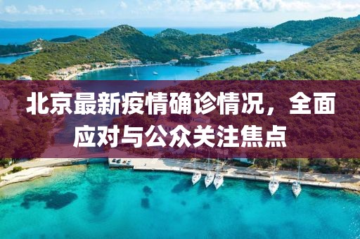 北京最新疫情確診情況，全面應(yīng)對(duì)與公眾關(guān)注焦點(diǎn)