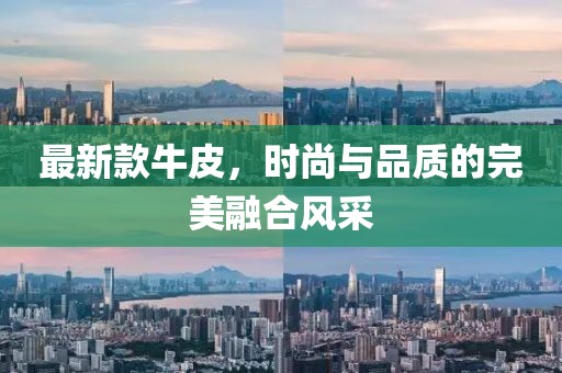 最新款牛皮，時(shí)尚與品質(zhì)的完美融合風(fēng)采