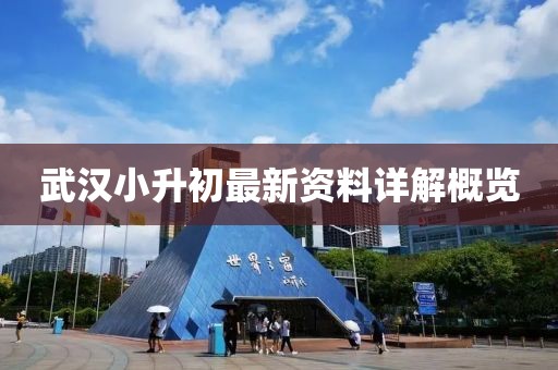 武漢小升初最新資料詳解概覽
