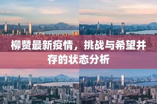 柳贊最新疫情，挑戰(zhàn)與希望并存的狀態(tài)分析