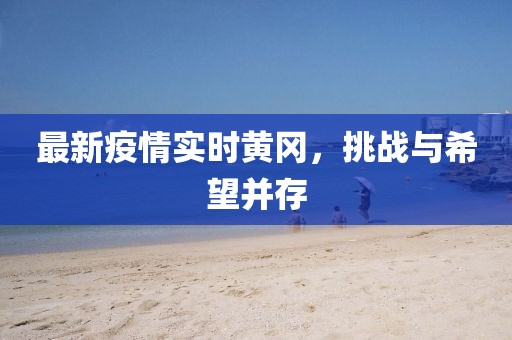 最新疫情實(shí)時(shí)黃岡，挑戰(zhàn)與希望并存