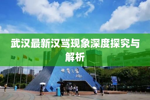 武漢最新漢罵現(xiàn)象深度探究與解析