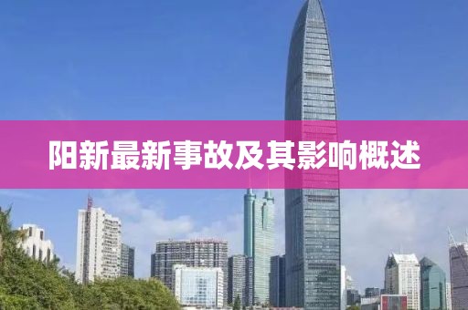 陽(yáng)新最新事故及其影響概述