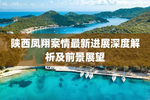 陜西鳳翔案情最新進(jìn)展深度解析及前景展望