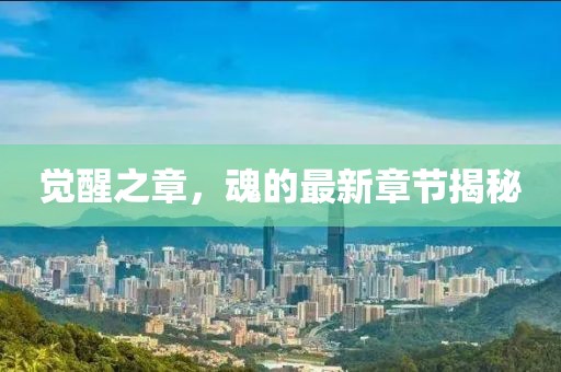 覺(jué)醒之章，魂的最新章節(jié)揭秘