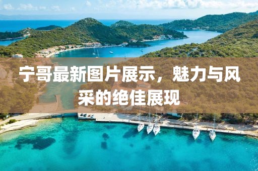 寧哥最新圖片展示，魅力與風(fēng)采的絕佳展現(xiàn)