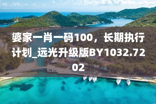 婆家一肖一碼100，長(zhǎng)期執(zhí)行計(jì)劃_遠(yuǎn)光升級(jí)版BY1032.7202