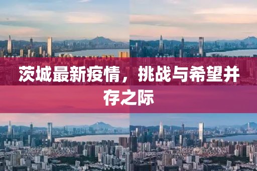茨城最新疫情，挑戰(zhàn)與希望并存之際