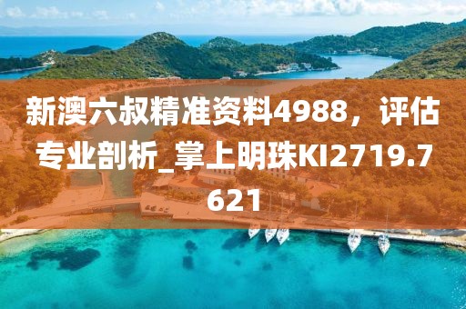 新澳六叔精準(zhǔn)資料4988，評估專業(yè)剖析_掌上明珠KI2719.7621