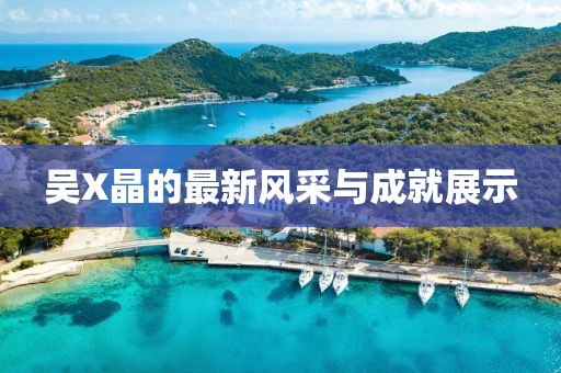 吳X晶的最新風(fēng)采與成就展示