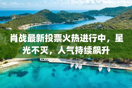 肖戰(zhàn)最新投票火熱進(jìn)行中，星光不滅，人氣持續(xù)飆升