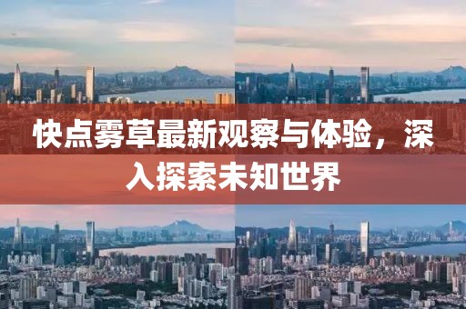 快點(diǎn)霧草最新觀察與體驗(yàn)，深入探索未知世界
