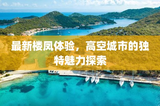 最新樓鳳體驗(yàn)，高空城市的獨(dú)特魅力探索