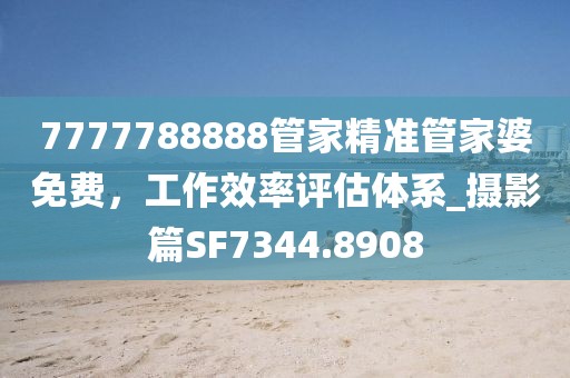 7777788888管家精準(zhǔn)管家婆免費(fèi)，工作效率評(píng)估體系_攝影篇SF7344.8908