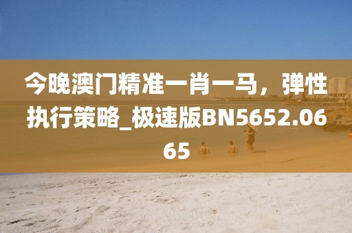 今晚澳門精準(zhǔn)一肖一馬，彈性執(zhí)行策略_極速版BN5652.0665
