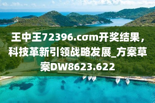 王中王72396.cσm開獎結(jié)果，科技革新引領(lǐng)戰(zhàn)略發(fā)展_方案草案DW8623.622