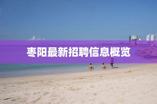 棗陽最新招聘信息概覽