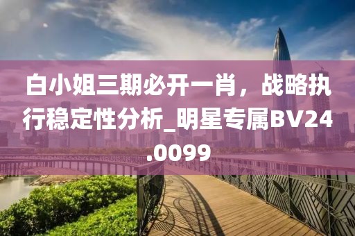 白小姐三期必開一肖，戰(zhàn)略執(zhí)行穩(wěn)定性分析_明星專屬BV24.0099