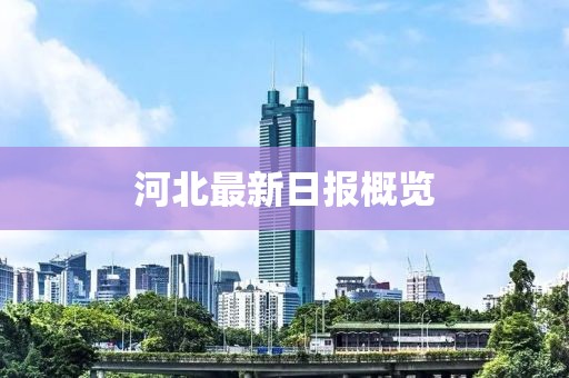 河北最新日?qǐng)?bào)概覽